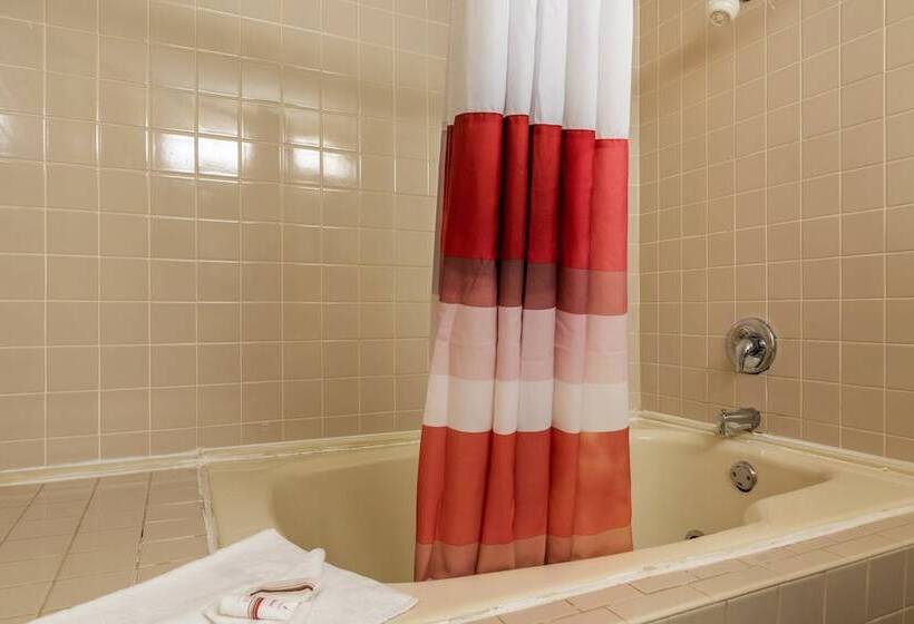 غرفة ديلوكس, Red Roof Inn Hardeeville