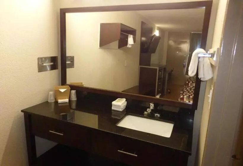 اتاق سوپریور با تخت بزرگ, Red Roof Inn Corpus Christi North  Near Downtown