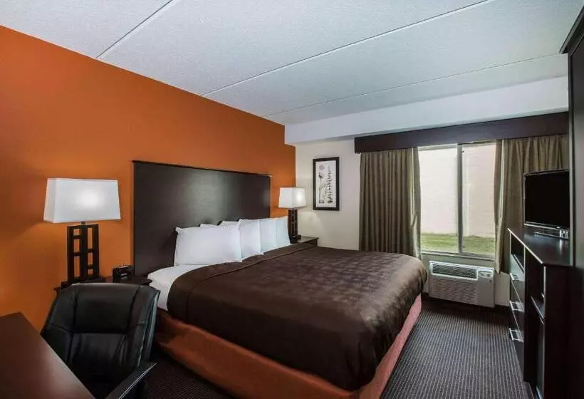 身障者適用キングサイズベッドルーム, Americinn By Wyndham Baxter Brainerd