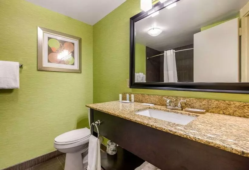 スイート, Holiday Inn Nashville Downtown   Stadium By Ihg