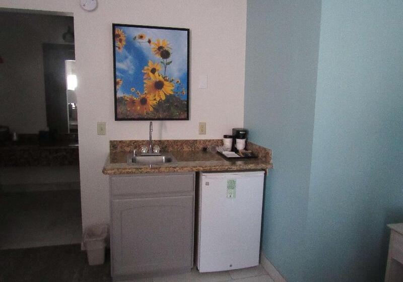 Номер Стандарт Адаптированный для Инвалидов, Days Inn By Wyndham Asheville West