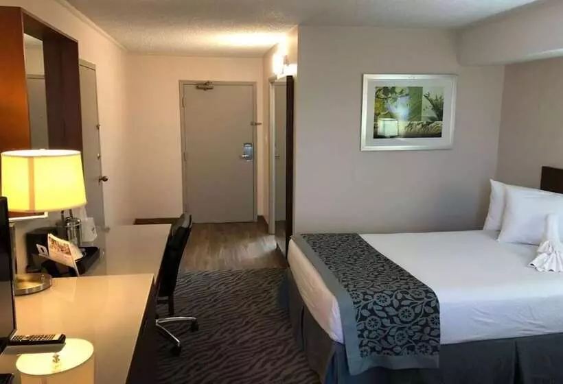 プレミアムルーム, Days Inn By Wyndham Manassas Battlefield