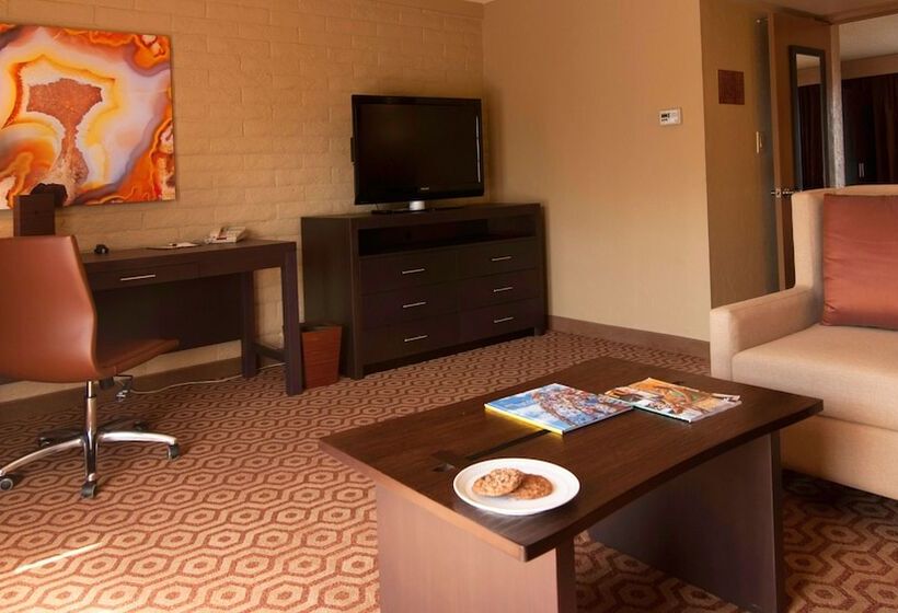 سوییت با چشم‌انداز استخر, Doubletree Suites By Hilton Tucson   Williams Center