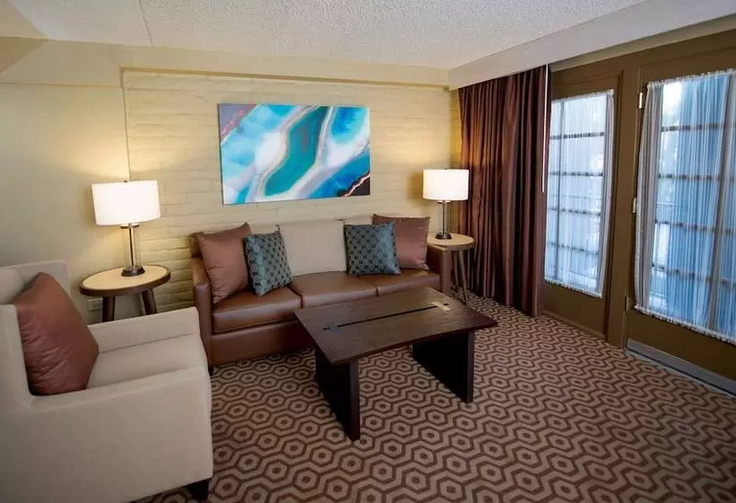 ダブルベッドスタンダードルーム, Doubletree Suites By Hilton Tucson   Williams Center