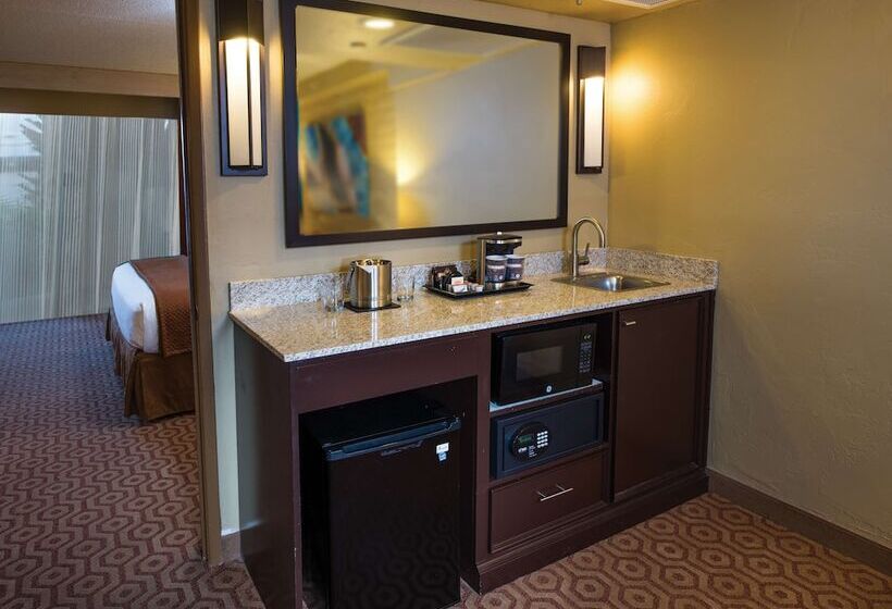 Номер Стандарт Двуспальная Кровать, Doubletree Suites By Hilton Tucson   Williams Center