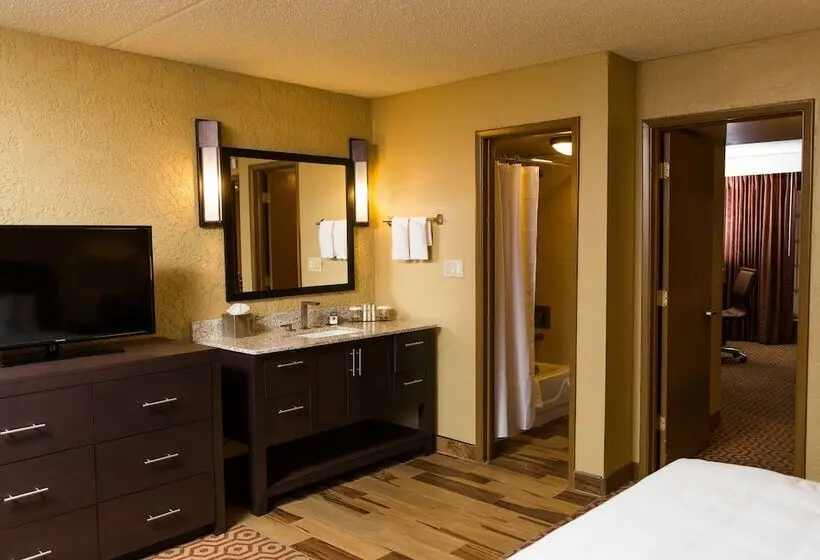 スイート, Doubletree Suites By Hilton Tucson Williams Center