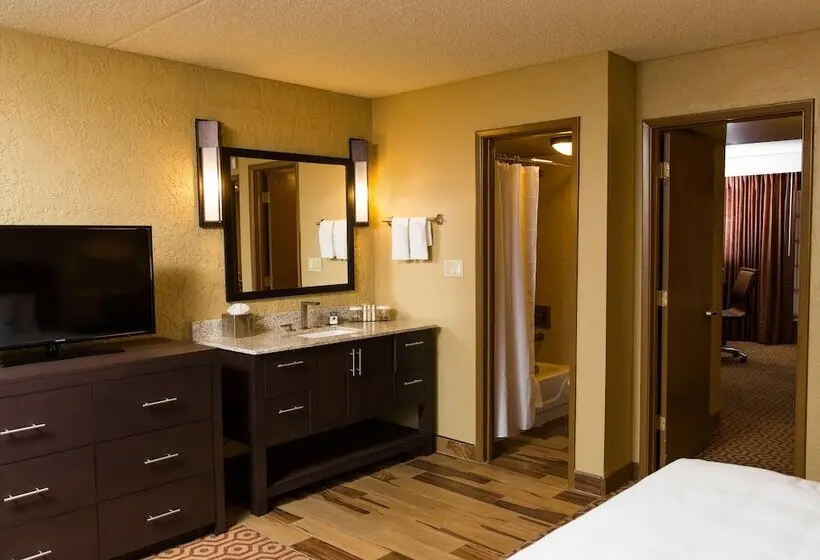 プールビュースイート, Doubletree Suites By Hilton Tucson Williams Center