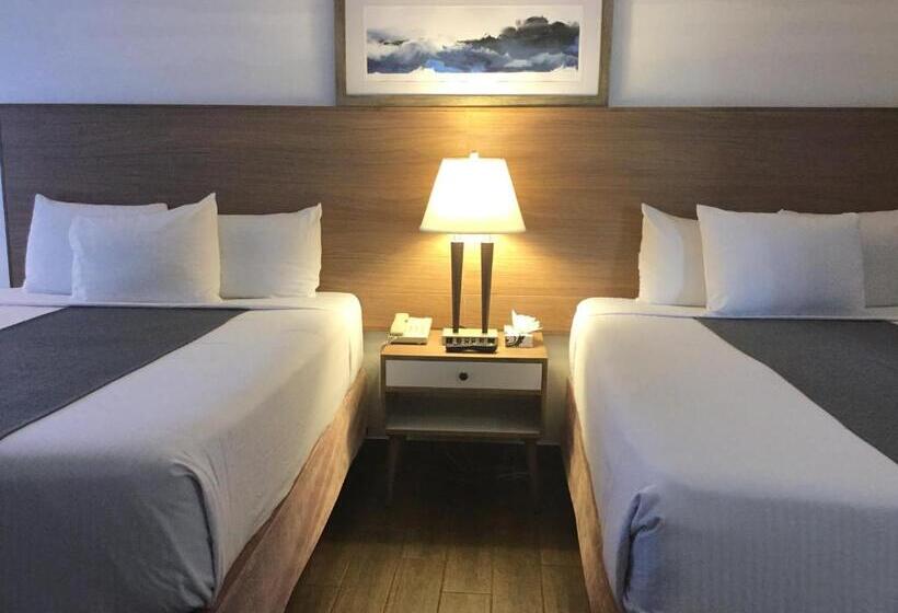 חדר סטנדרט, Downtown San Diego Lodge