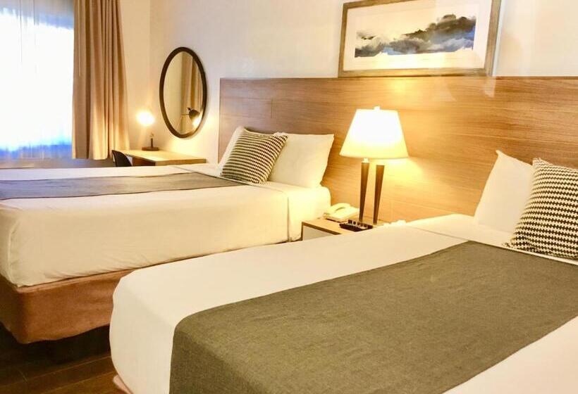 חדר סטנדרט, Downtown San Diego Lodge