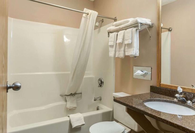 Номер Стандарт 2 Двуспальные Кровати, Econo Lodge