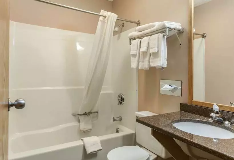 ２ダブルベッドのスタンダードルーム, Econo Lodge