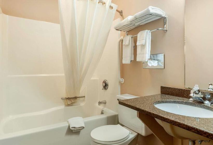 Номер Стандарт 2 Двуспальные Кровати, Econo Lodge