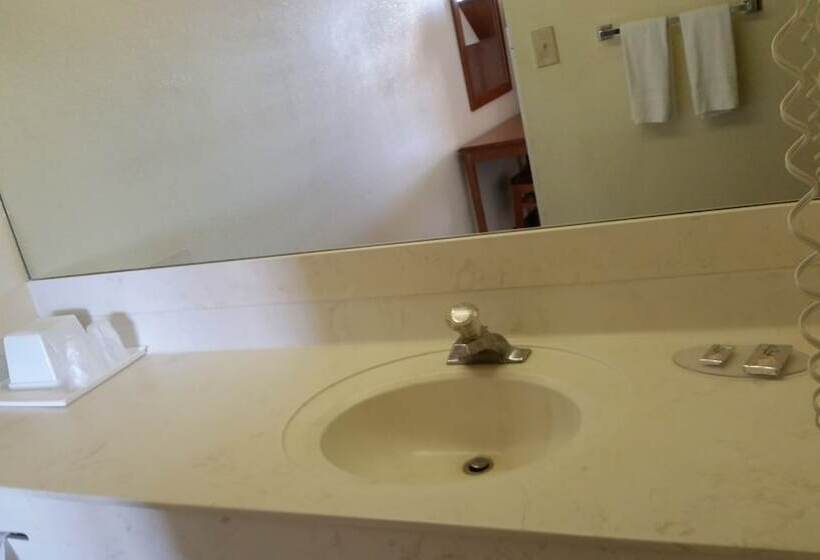 غرفه قياسيه سريرين مزدوجين, Economy Inn