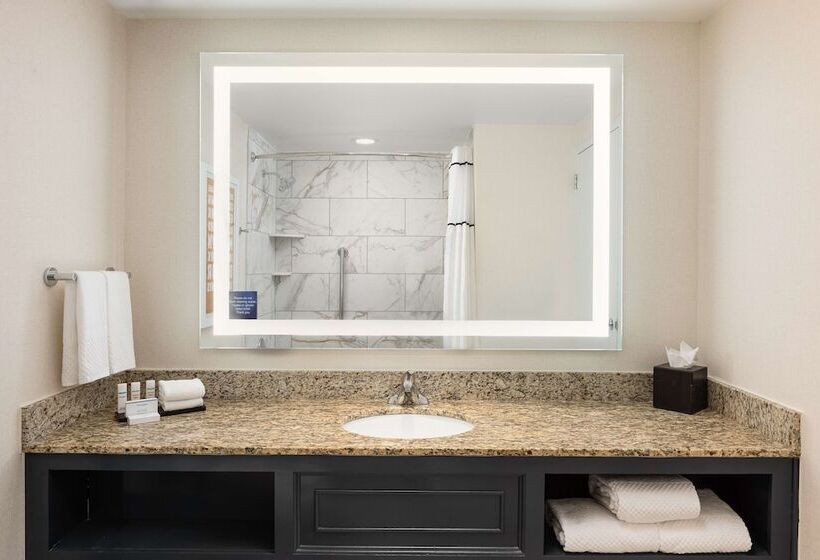 سوئیت 2 خوابه, Embassy Suites By Hilton Atlanta Buckhead