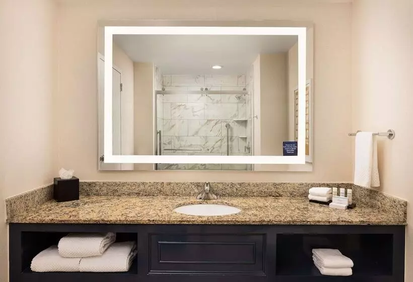 سوئیت 2 خوابه, Embassy Suites By Hilton Atlanta Buckhead