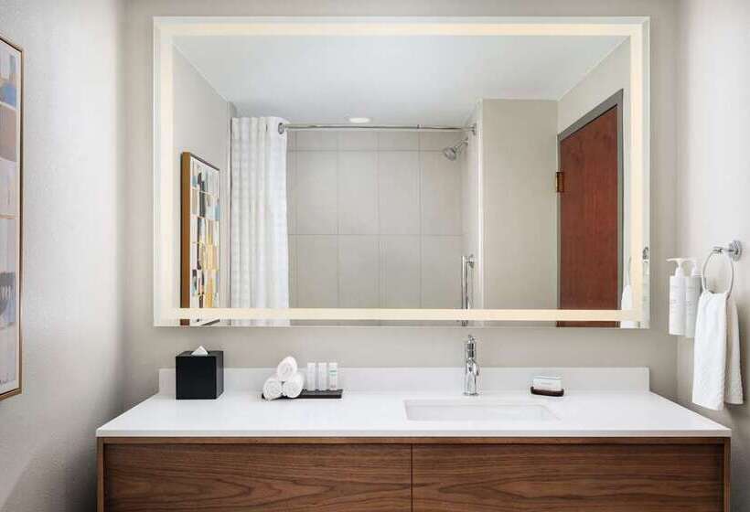 اتاق استاندارد, Embassy Suites By Hilton Atlanta Buckhead