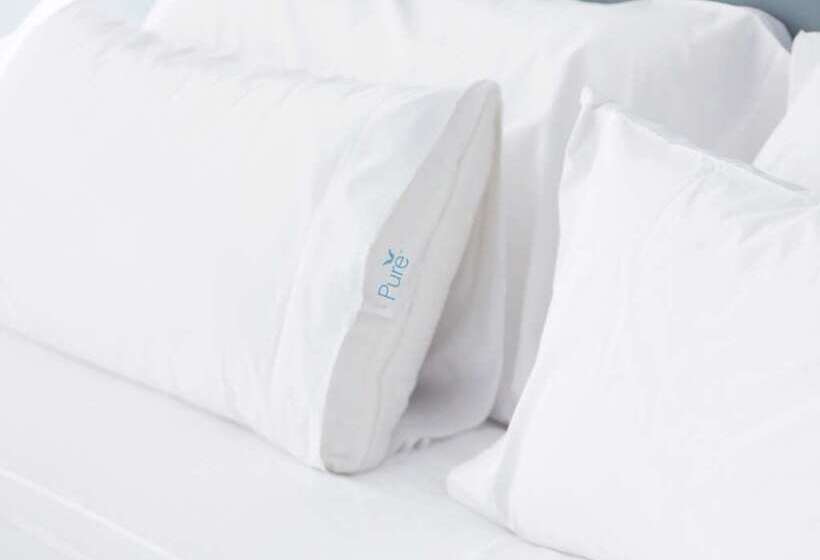 اتاق استاندارد, Embassy Suites By Hilton Atlanta Buckhead