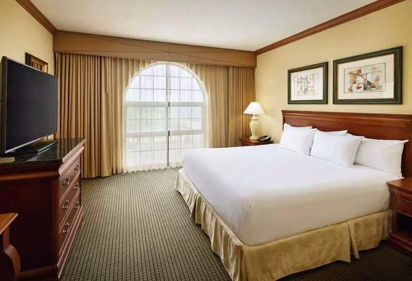 اتاق استاندارد با تخت بزرگ, Embassy Suites By Hilton Atlanta Buckhead
