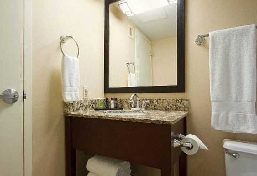 جناح, Embassy Suites By Hilton Dallas Market Center