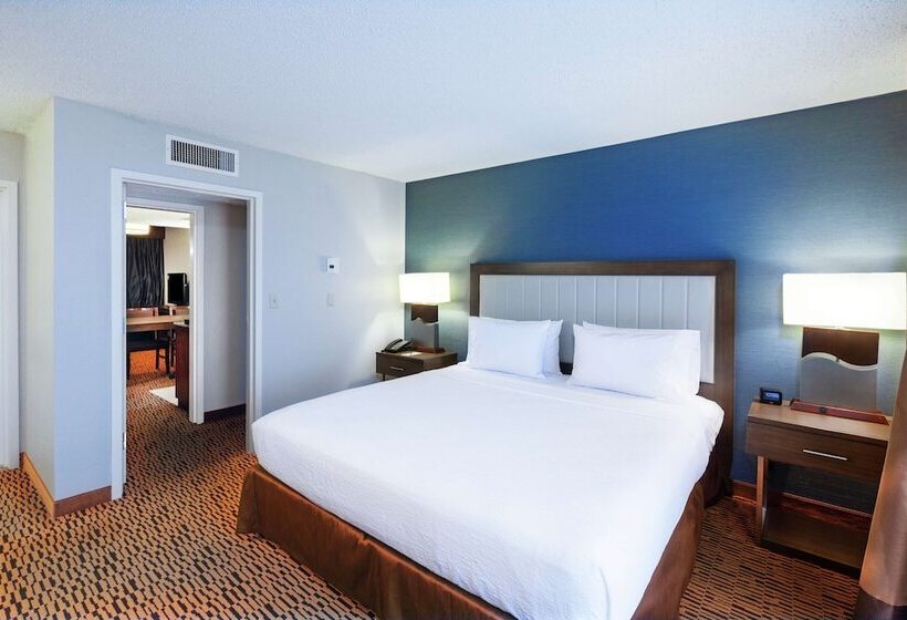 جناح غرفتين نوم, Embassy Suites By Hilton Dallas Market Center