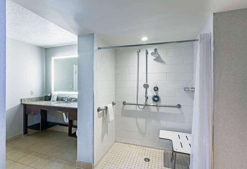 غرفة قياسية سرير كينج, Embassy Suites By Hilton Dallas Market Center