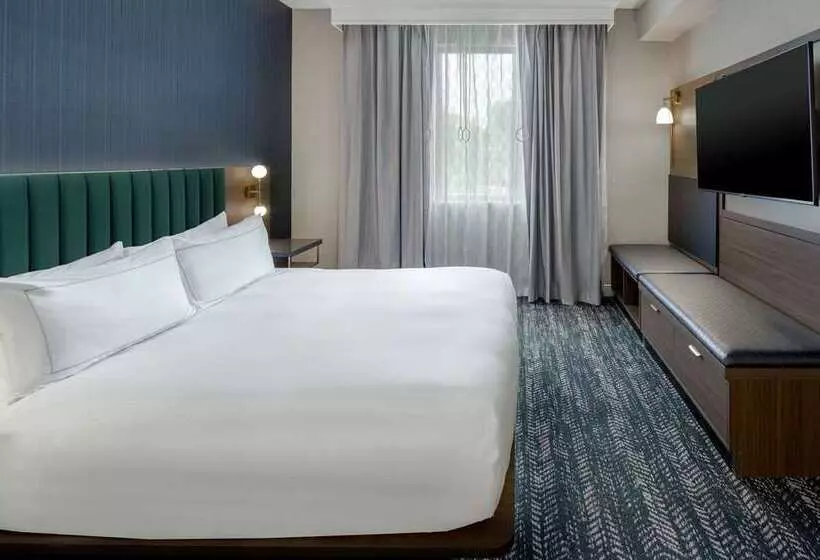 キングサイズベッドのスタンダードルーム, Embassy Suites By Hilton Dallas Market Center