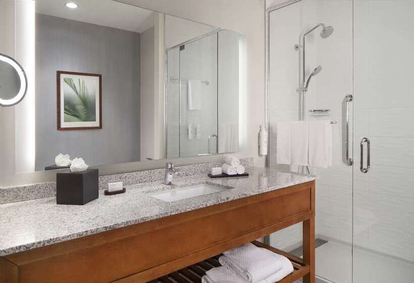 غرفة قياسية سرير كينج, Embassy Suites By Hilton Dallas Market Center