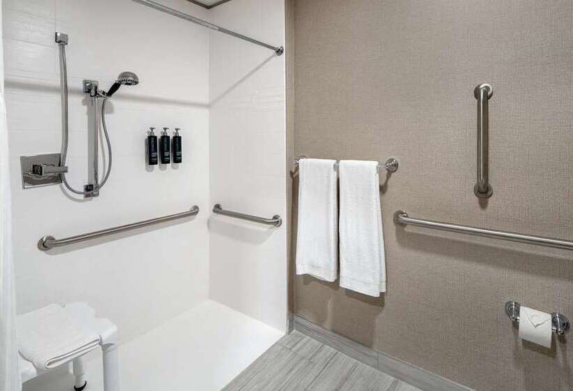 غرفة قياسية سرير كينج, Embassy Suites By Hilton Dallas Market Center