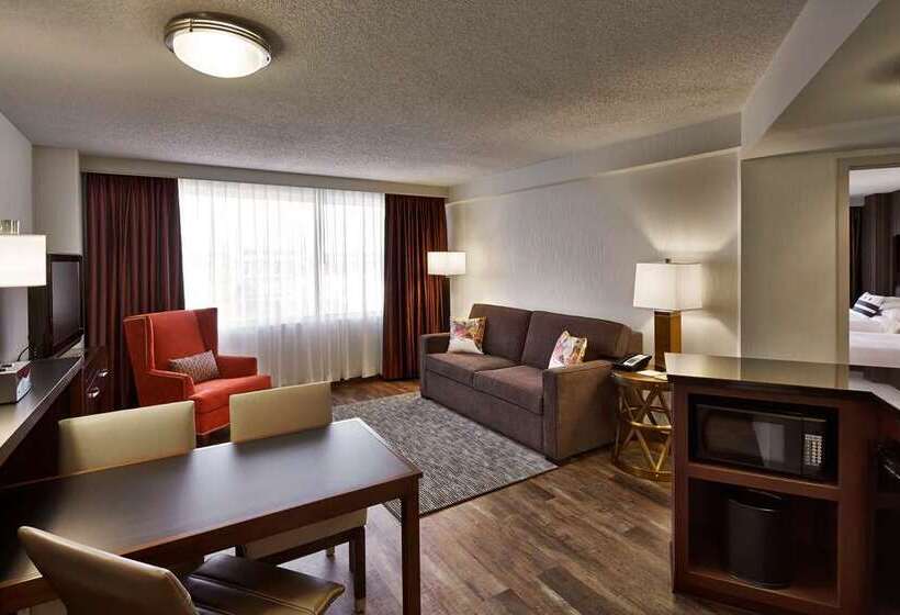 キングサイズベッドのスタンダードルーム, Embassy Suites By Hilton Dallas Market Center