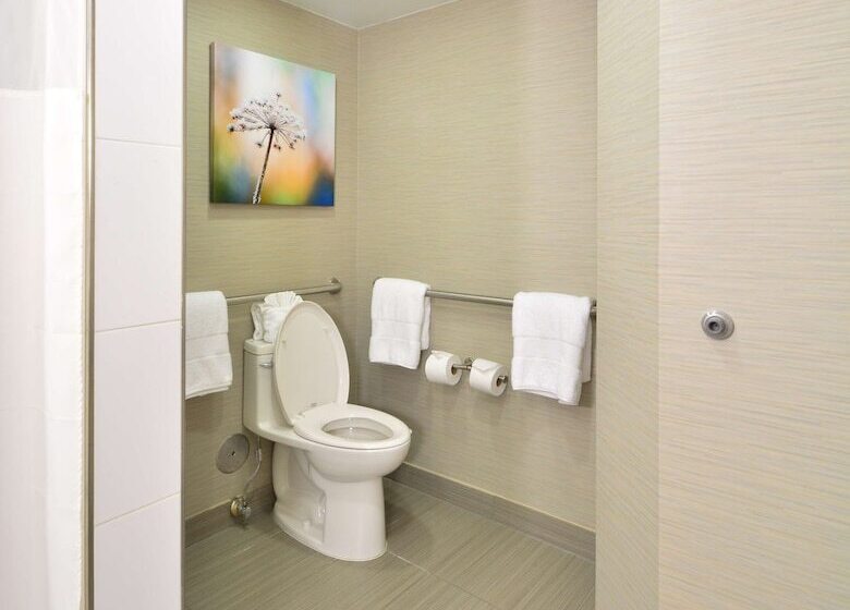 סוויטה מותאמת לאדם עם מוגבלויות, Embassy Suites By Hilton Denver Central Park