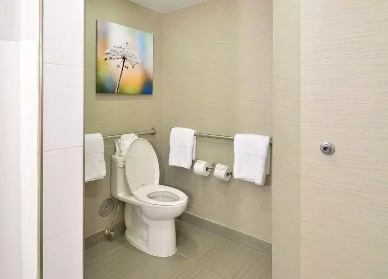 سوئیت برای معلولان, Embassy Suites By Hilton Denver Central Park