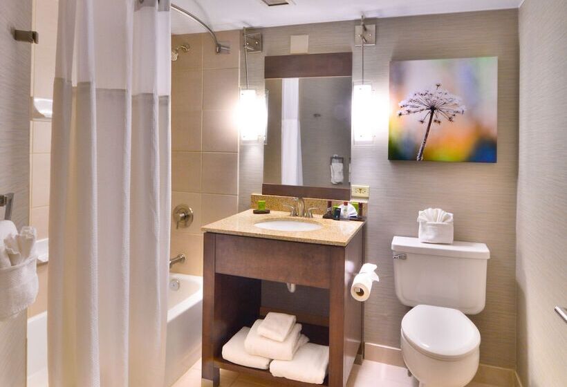 סוויטה מותאמת לאדם עם מוגבלויות, Embassy Suites By Hilton Denver Central Park