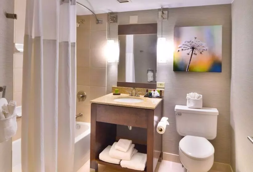سوییت, Embassy Suites By Hilton Denver Central Park
