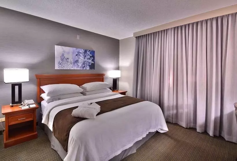 سوییت, Embassy Suites By Hilton Denver Central Park