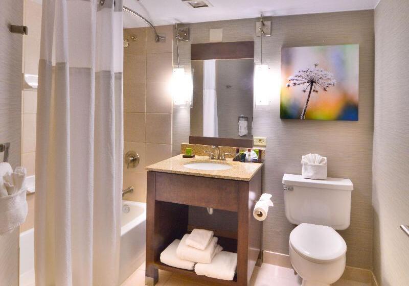 מיטת קינג בסוויטה, Embassy Suites By Hilton Denver Central Park