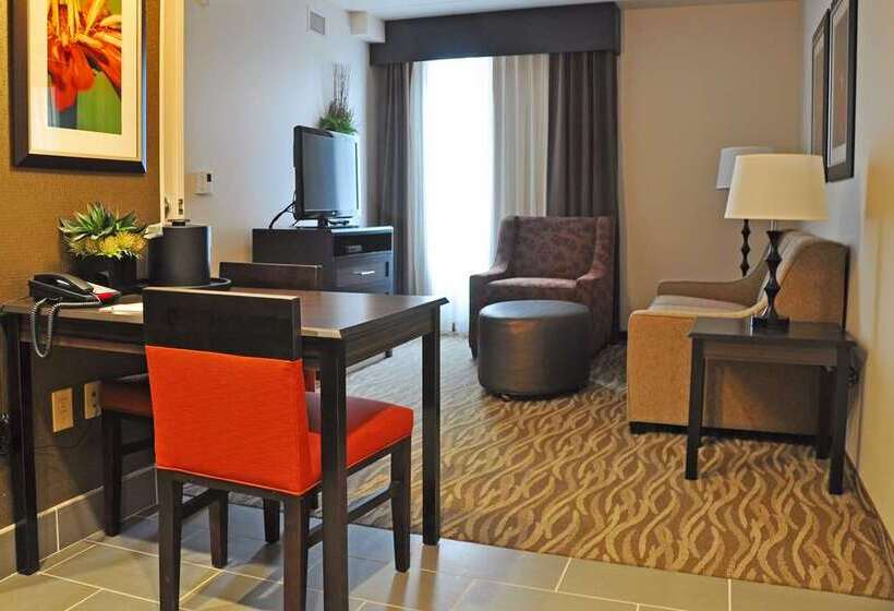 Suite met Kingsize Bed, Embassy Suites By Hilton San Antonio Airport