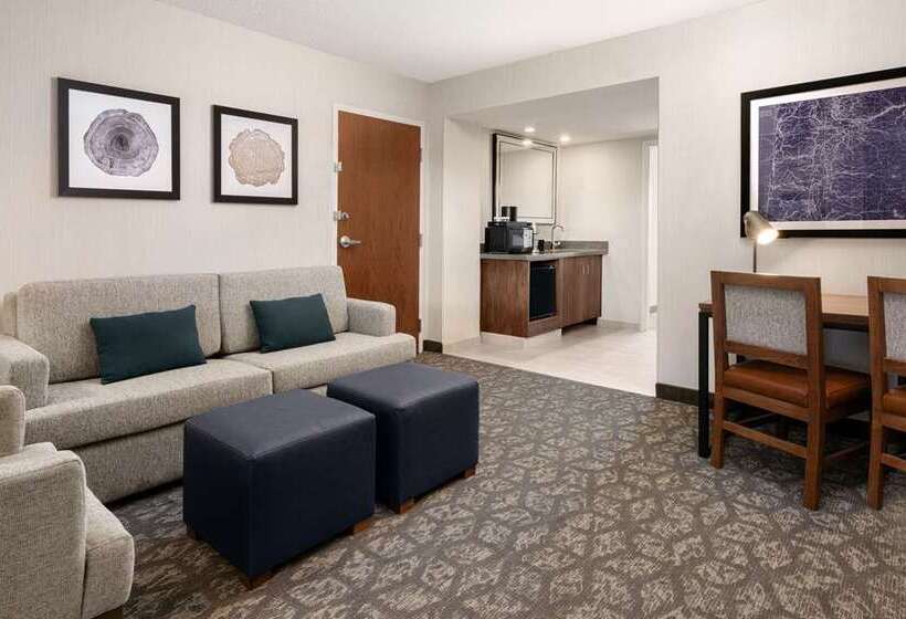 StandaardKamer, Embassy Suites By Hilton San Antonio Airport