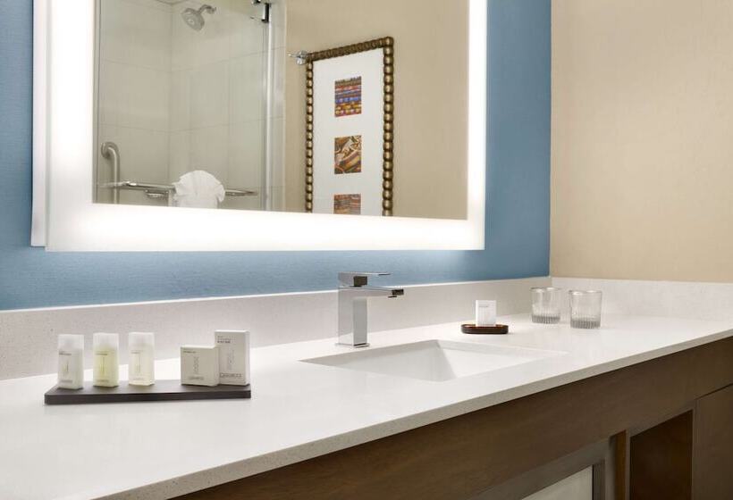Suite Aangepast voor Gehandicapten, Embassy Suites By Hilton San Antonio Airport