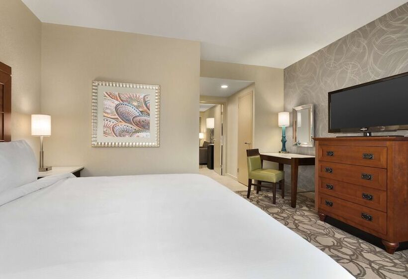 Suite Aangepast voor Gehandicapten, Embassy Suites By Hilton San Antonio Airport