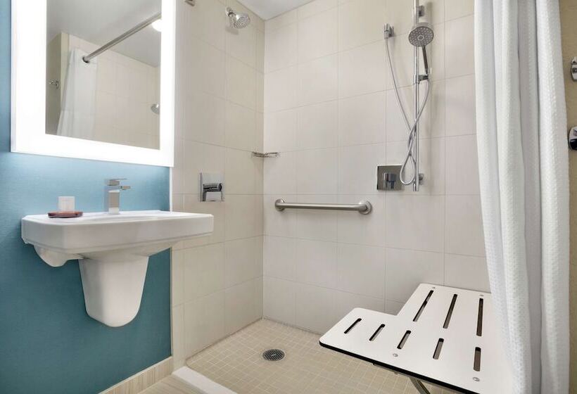 Suite Aangepast voor Gehandicapten, Embassy Suites By Hilton San Antonio Airport