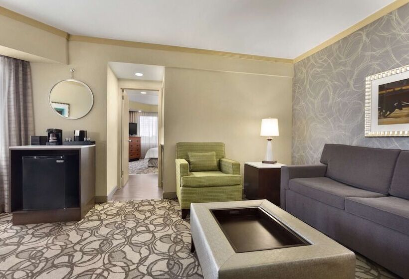 Suite met 2 Slaapkamers, Embassy Suites By Hilton San Antonio Airport