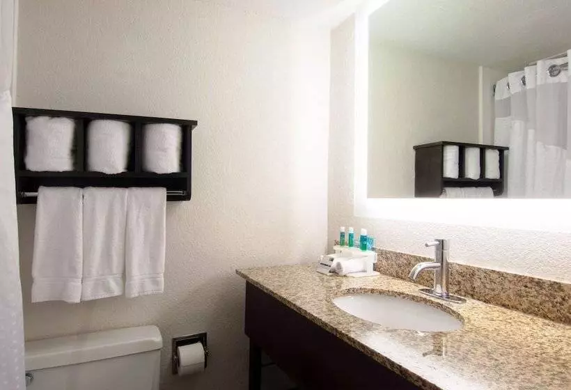 スタンダードルーム, Holiday Inn Express & Suites Nashville I 40 & I 24, An Ihg