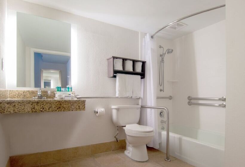 スタンダードルーム, Holiday Inn Express & Suites Nashville I 40 & I 24, An Ihg
