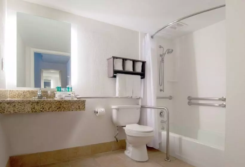 スタンダードルーム, Holiday Inn Express & Suites Nashville I 40 & I 24, An Ihg