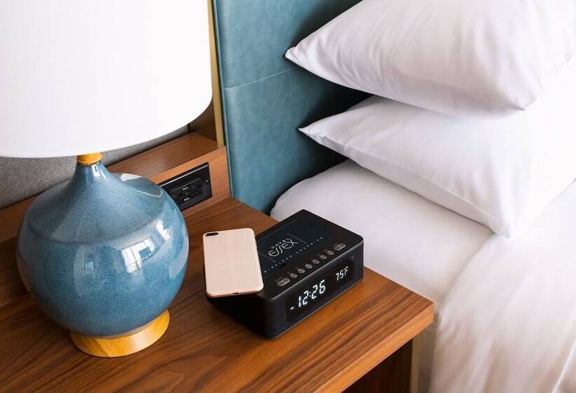 带双人床的经典房间, Le Méridien Essex Chicago