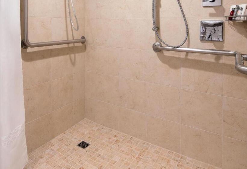 غرفة ديلوكس سرير كينج, Provo Marriott Hotel & Conference Center