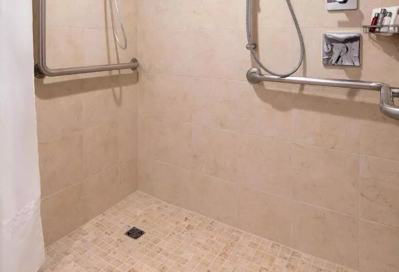 اتاق لوکس با تخت بزرگ, Provo Marriott Hotel & Conference Center