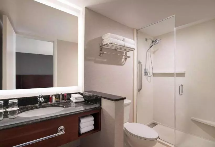 اتاق لوکس با تخت بزرگ, Provo Marriott Hotel & Conference Center
