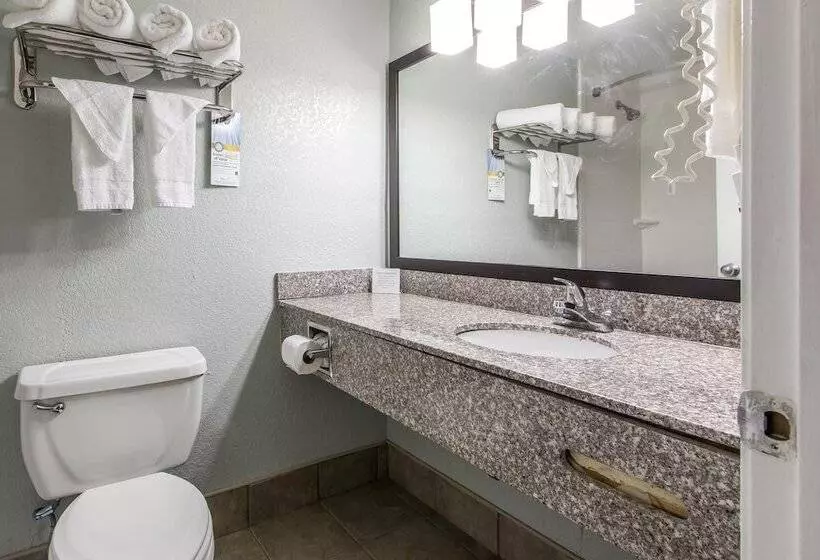 ２ダブルベッドのスタンダードルーム, Quality Inn Downtown Historic District