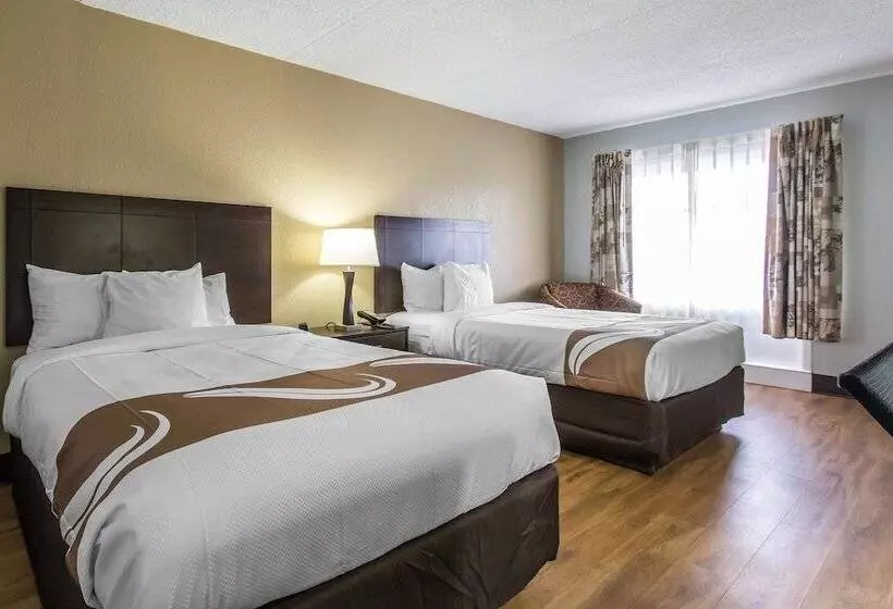 ２ダブルベッドのスタンダードルーム, Quality Inn Downtown Historic District